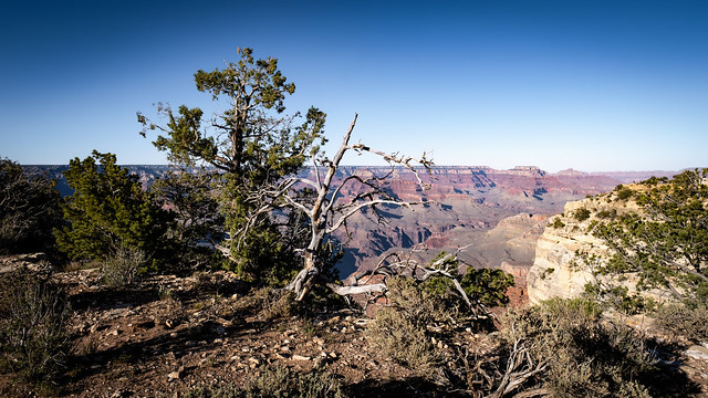 Grand Canyon, South Rim Trail 6/19/22