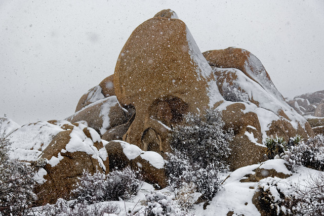 Skull Rock During a Snow Storm (Joshua Tree National Park)