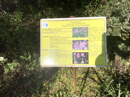 Panneaux botaniques du PR3 (sentier de Ponti di Marionu) : nos bénévoles s'éduquent !