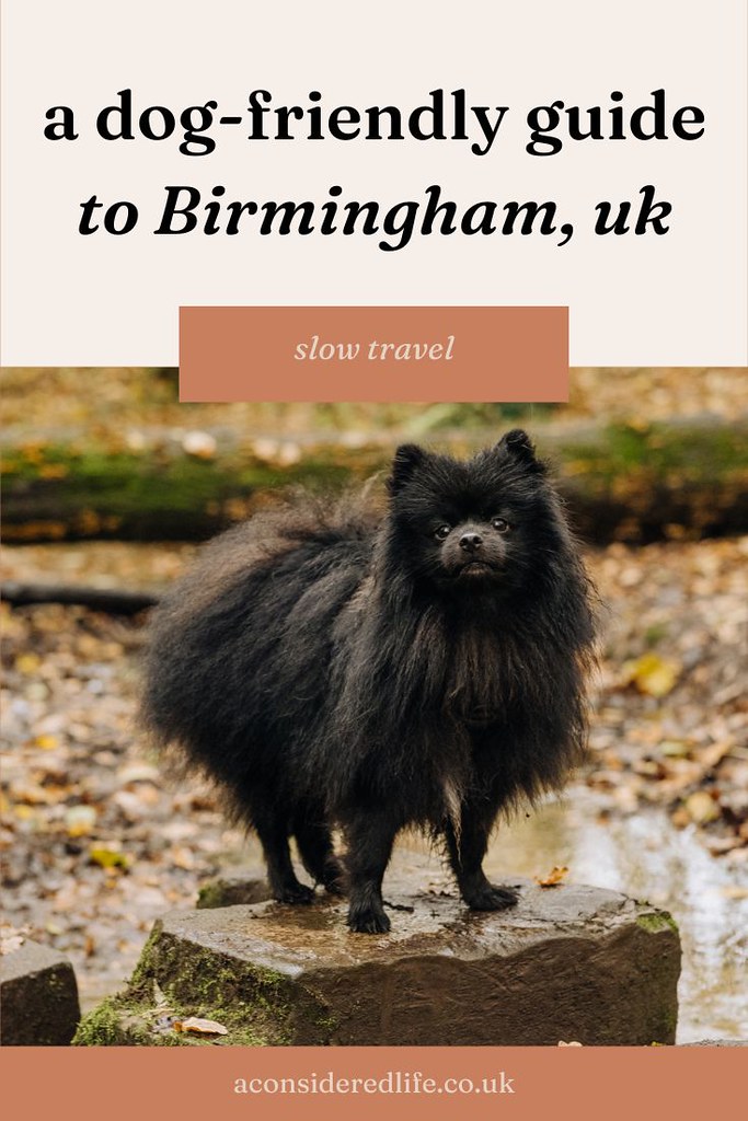 A Dog Friendly Guide To Birmingham