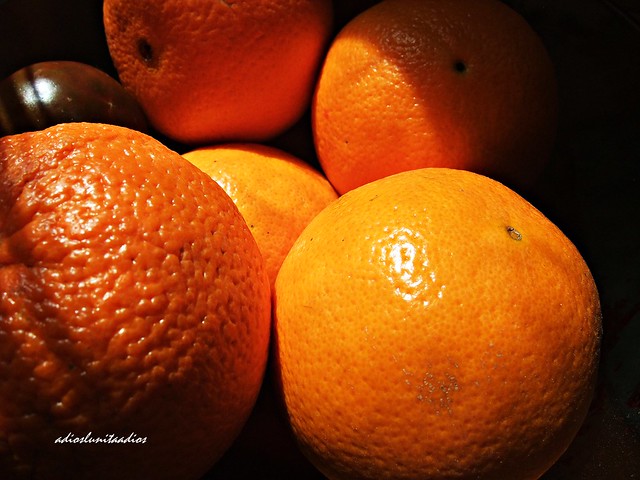 Naranjas valencianas 023