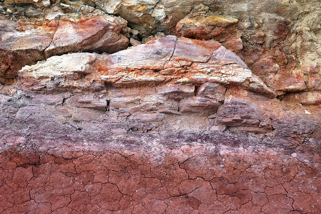 Morrison Formation (Upper Jurassic; Dinosaur Ridge, west of Denver, Colorado, USA) 28