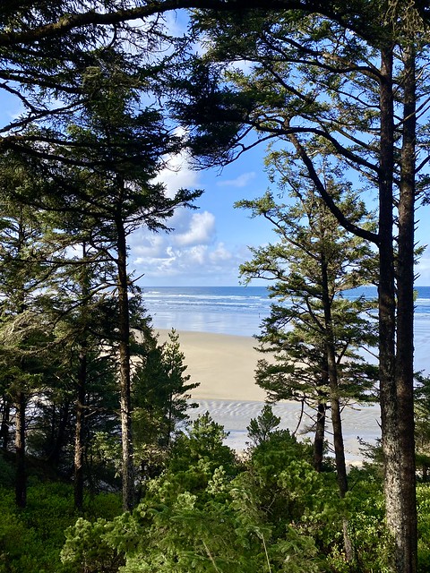 Agate Beach view, Ocean House, Newport, Oregon