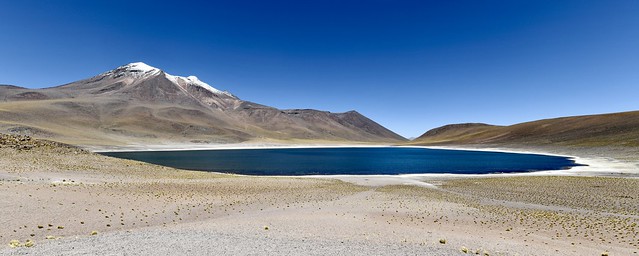 Chili 2023 - Lagunas Miscanti et Miñiques