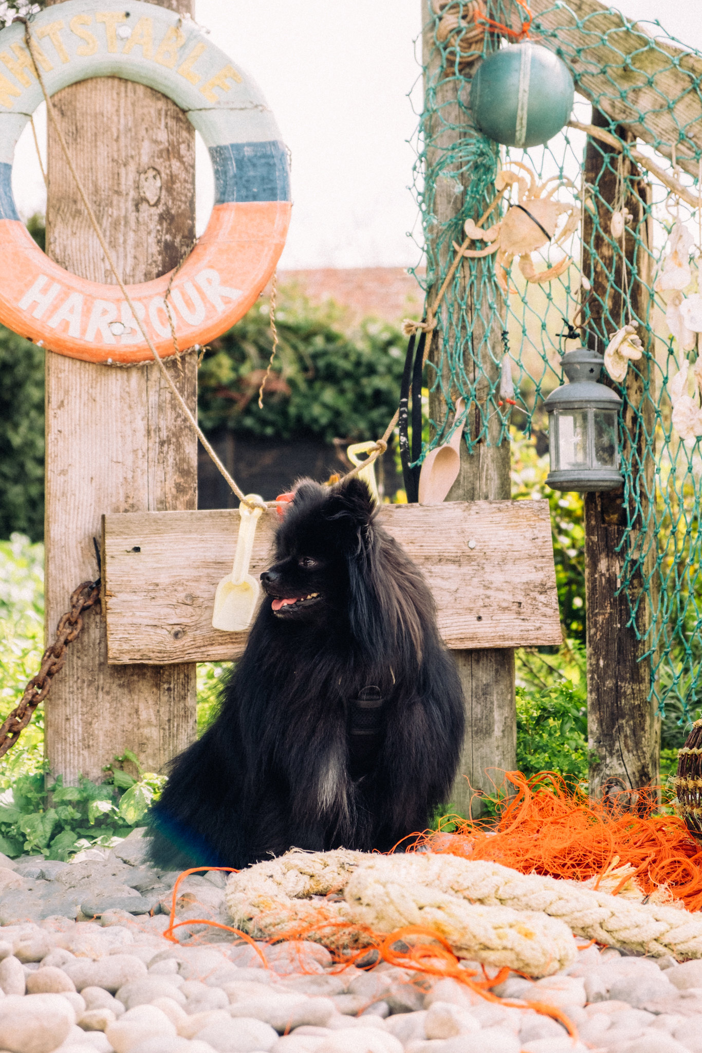 Whitstable Castle and Gardens | Dog-Friendly Attractions