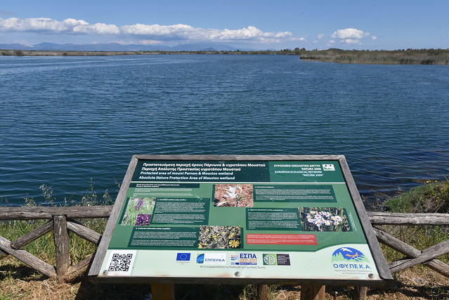 Nature Protection Area Moustos Wetland Peloponnese GR (c) Bernard Egger :: rumoto images 6075