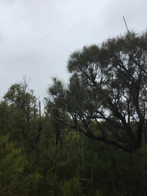 Rained-Out Short Loop Walk - Peaceful Bay, Western Australia