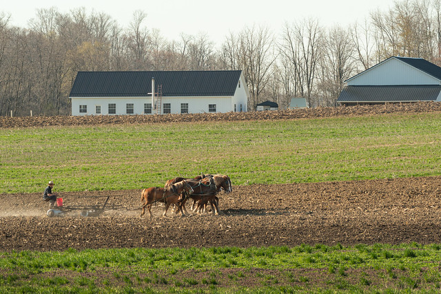 Amish farmer – spring field preparation for planting