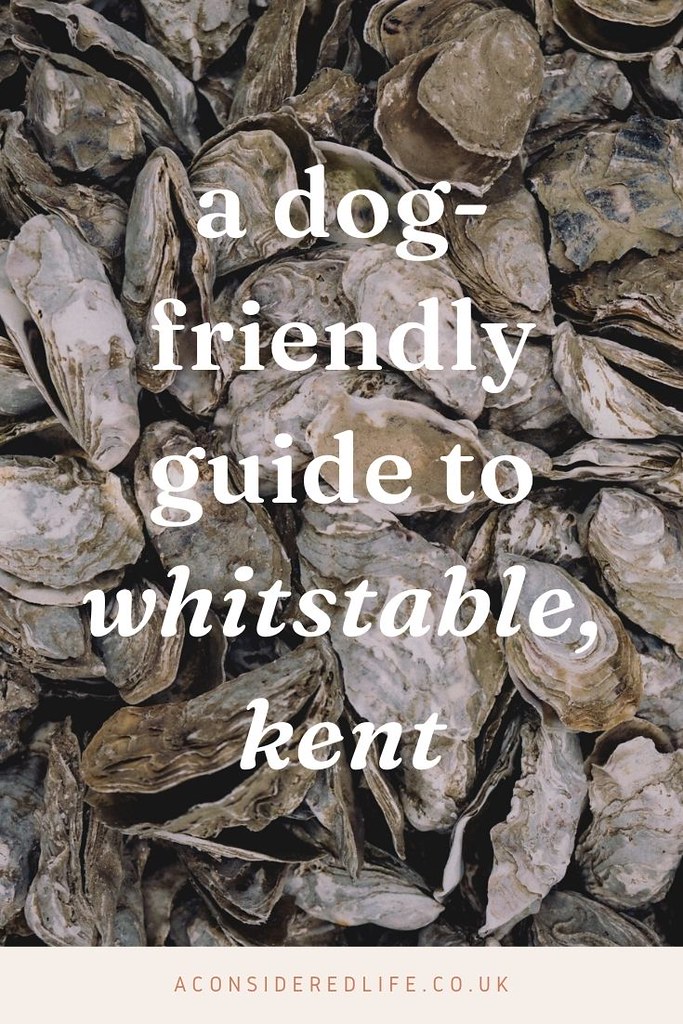 A Dog-Friendly Travel Guide to Whitstable, Kent