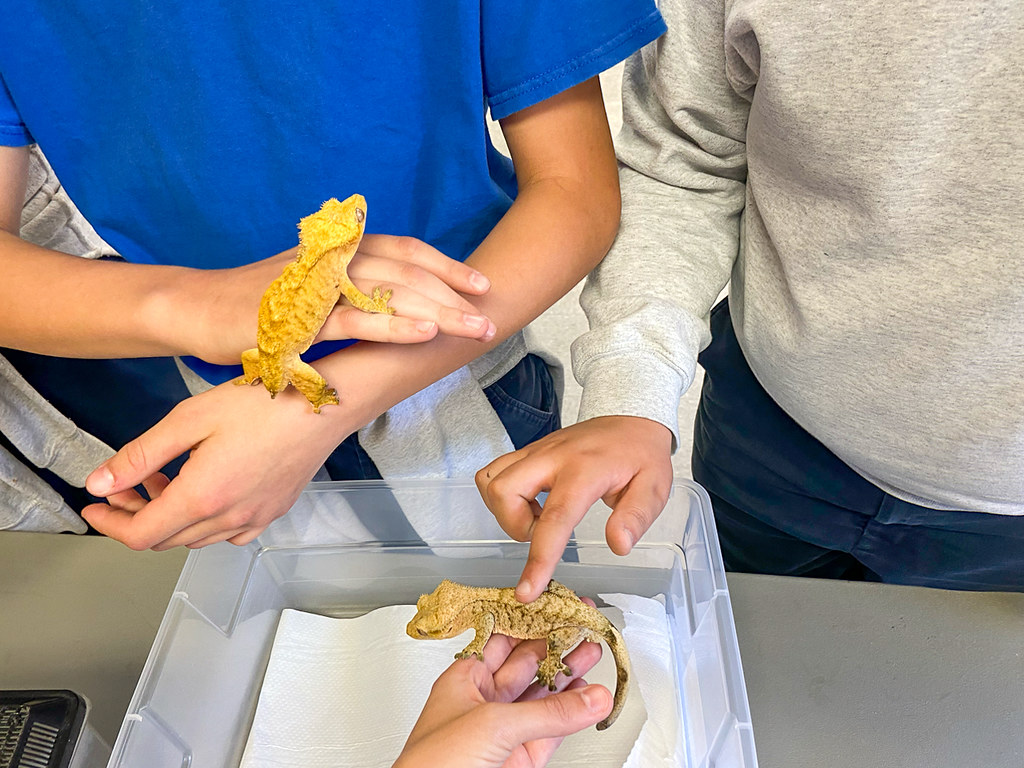 2023 Aquaculture and Herpetology Club Visits St. Pius X