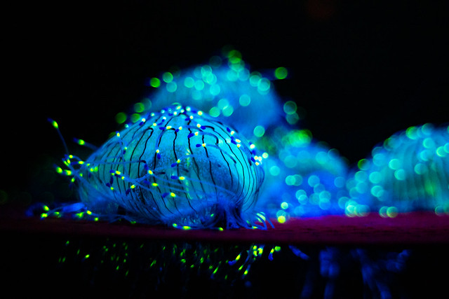 Techno Jellyfish