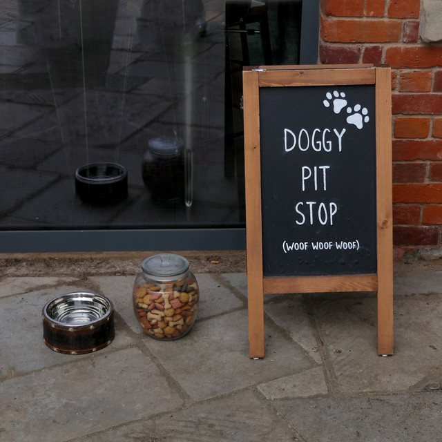 DOGGY PIT STOP