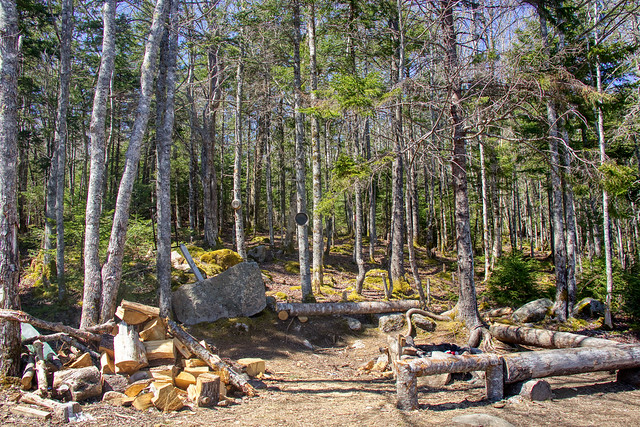 Lakeside Campsite, Maple Lake Minister Hill Trail, Timberlea Nova Scotia