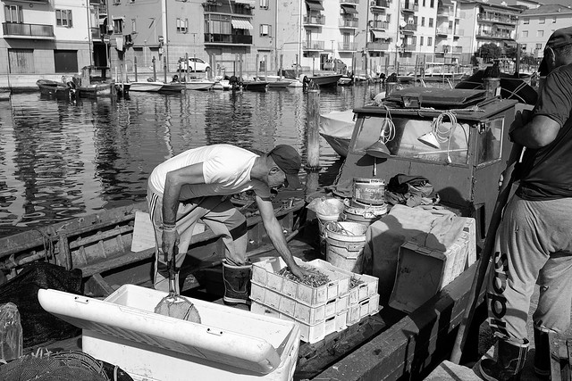 Pescatori di Chioggia