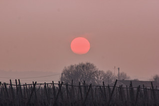 Red sun in the countryside