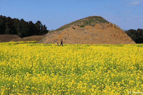 Shimbaru-Nuyama Mounded Tomb Grou