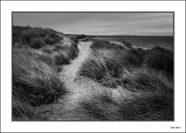 In the dunes - (Sigma 35-70mm, 40mm,  1-250th, f11) - 11th March 2023