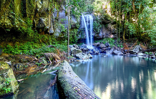 explore brisbane waterfall water creek jungle rainforest reflections nature goldcoast hdr sony sonya7riii landscape