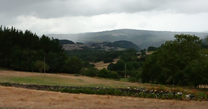 Conclusiones y comentarios. - Camino de Santiago Francés: 115 kilómetros finales desde Sarria (Lugo). (8)