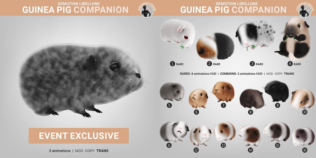 SEmotion Libellune Guinea Pig Companion