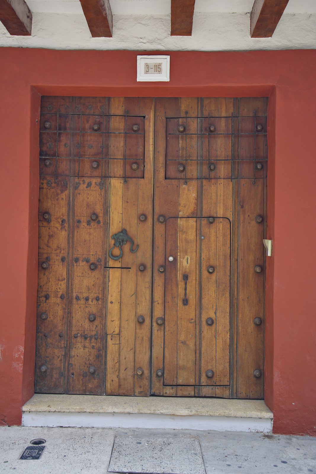 Ornate door with brass fixtures and a lizard door knocker