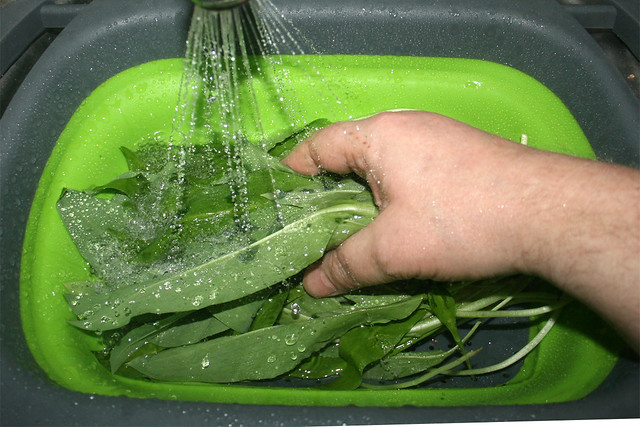04 - Wash wild garlic thoroughly / Bärlauch gründlich waschen