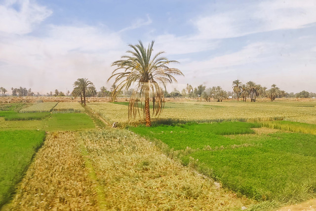 On the Train from Aswan to Luxor, Egypt