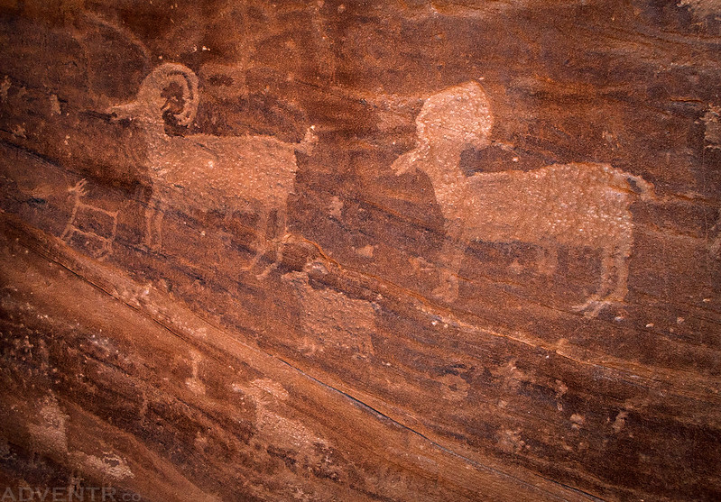 Sheep Petroglyphs