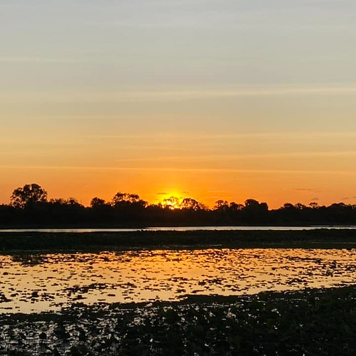 Rockhampton lagoon at sunset