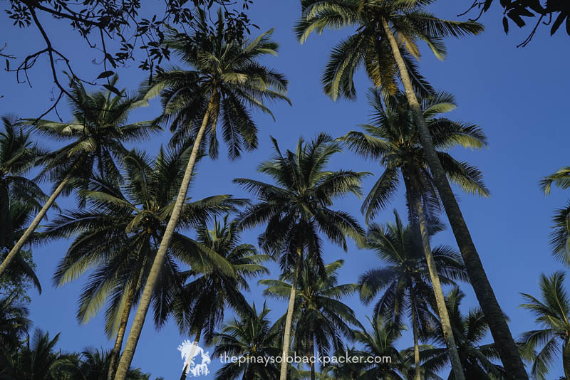 San Teodoro, Oriental Mindoro