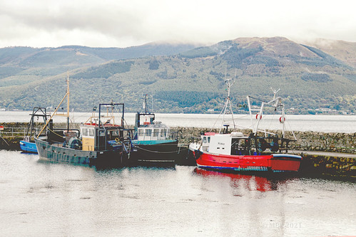 Greers Quay, Carlingford Co. Louth | by MickBarry.com :-)