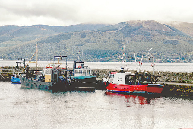 Greers Quay, Carlingford Co. Louth