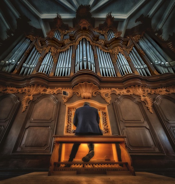 The organist