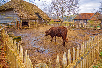 Cowfold Barn