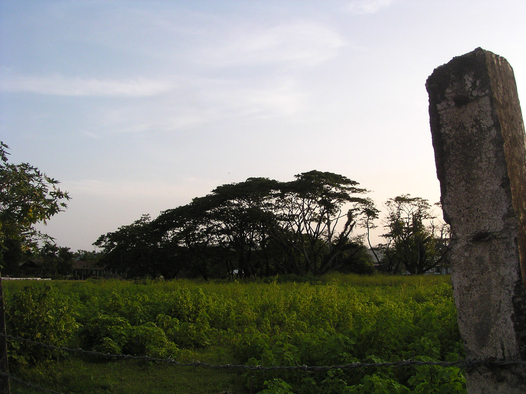 5 | OLYMPUS DIGITAL CAMERA | snap it ph | Flickr