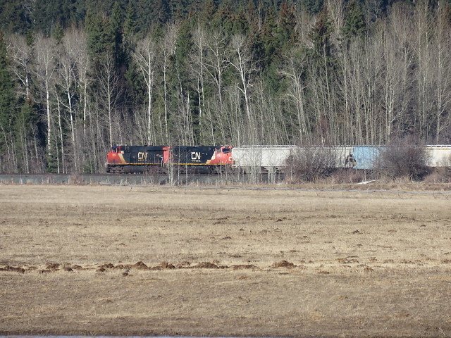 Train going by