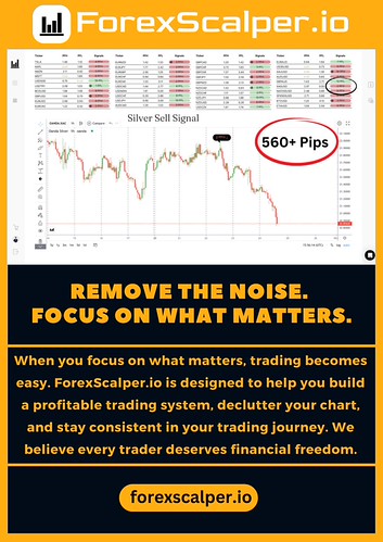 Remove the noise. Focus on what matters. | by forexscaper01