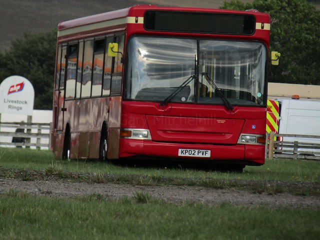 Bear Buses - KP02PVF - INDY20211227UKIndy