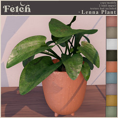 [Fetch] Lenna Plant @ VIP Gift!