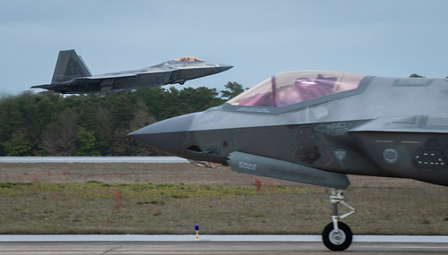 Raptor activity | by sfkjr
