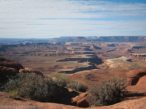 Morning views from the Green River Overlook, Island in the Sky District of Canyonlands National Park, Utah