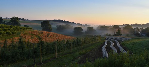 harvesthost vineyard fence sunrise foggy hff sundaylights overlook explore