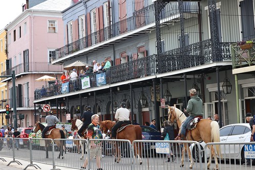 Horses on Decatur at French Quarter Fest 2023. Photo by Michele Goldfarb