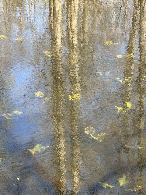 Early spring (reflection)