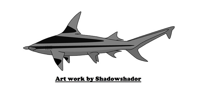 Extinct hammerhead shark (Sphyrna laevissima†)