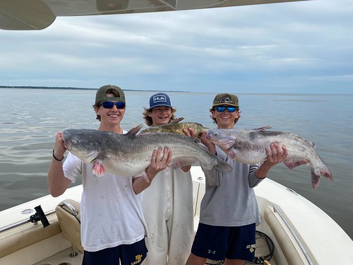 Photo of three boys on a boat, each holding a catfish