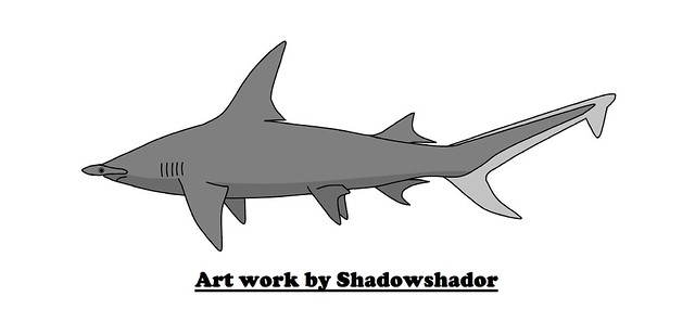 Extinct hammerhead shark (Sphyrna arambourgi†)