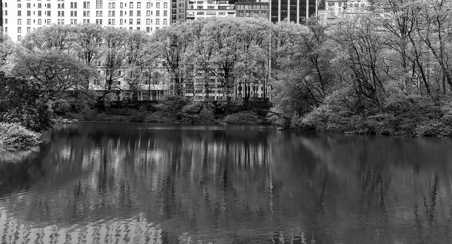 The 'Pond' in Central Park _ bw