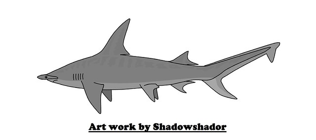 Extinct hammerhead shark (Sphyrna integra†)