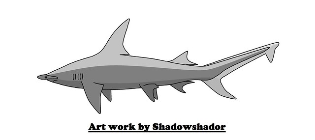 Extinct hammerhead shark (Sphyrna gibbesii†)